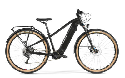 Rower M_BIKE eBIG EQ 29"