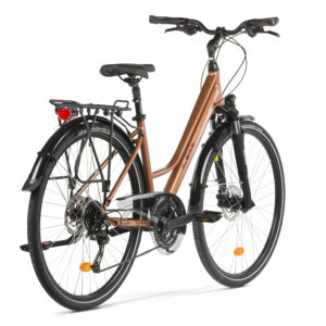 Rower M_BIKE FREEWAY 9300 ALIVIO Lady 1