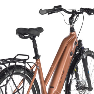 Rower M_BIKE eT.BIKE 3.0 LADY 2025 2